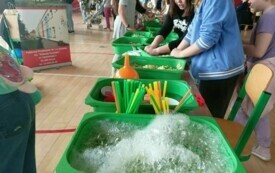 440114186_1381440336588323_6195631350843864320_n