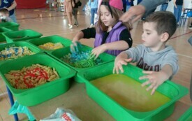 440259055_1381440316588325_8269455045647926194_n