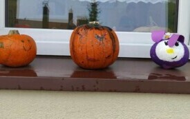 464626425_1537871170945238_6788655655205090343_n