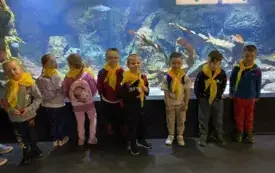 515069246_1737740404291646_1041825055364016330_n