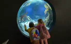 515104059_1737741340958219_1122061869941407559_n