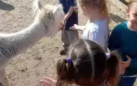 513395017_1737737920958561_8924792419647605784_n