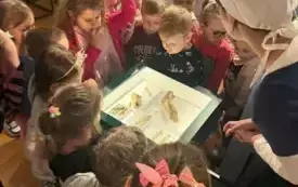 514058648_1737738294291857_4458559138802711420_n