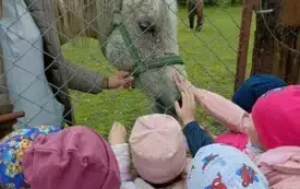 514196528_1737739600958393_7623449846159648311_n