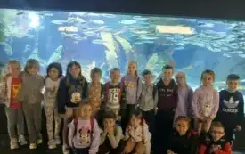 514545786_1737739290958424_8437981850360590811_n