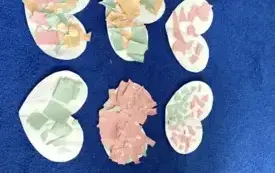 558834401_1828382645227421_670276800395951203_n