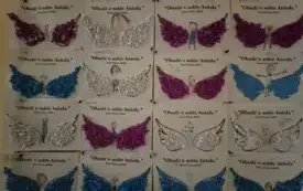 587619762_1872862387446113_4992460330155291784_n